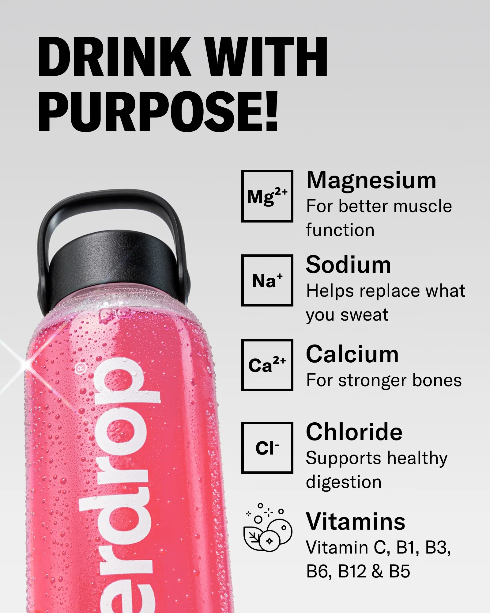 BERRY RECHARGE - Image 6